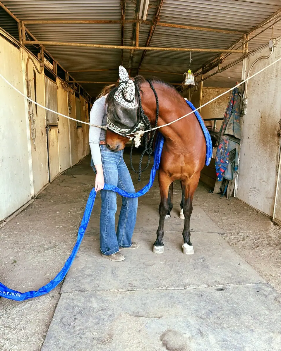 Sydnie with a bay horse in the barn aisle, MagnaWave coil in hand