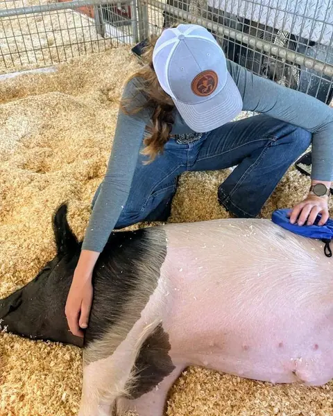 Instagram post: We love a good session nap!  When an animal drops their head, relaxes, and dozes off…