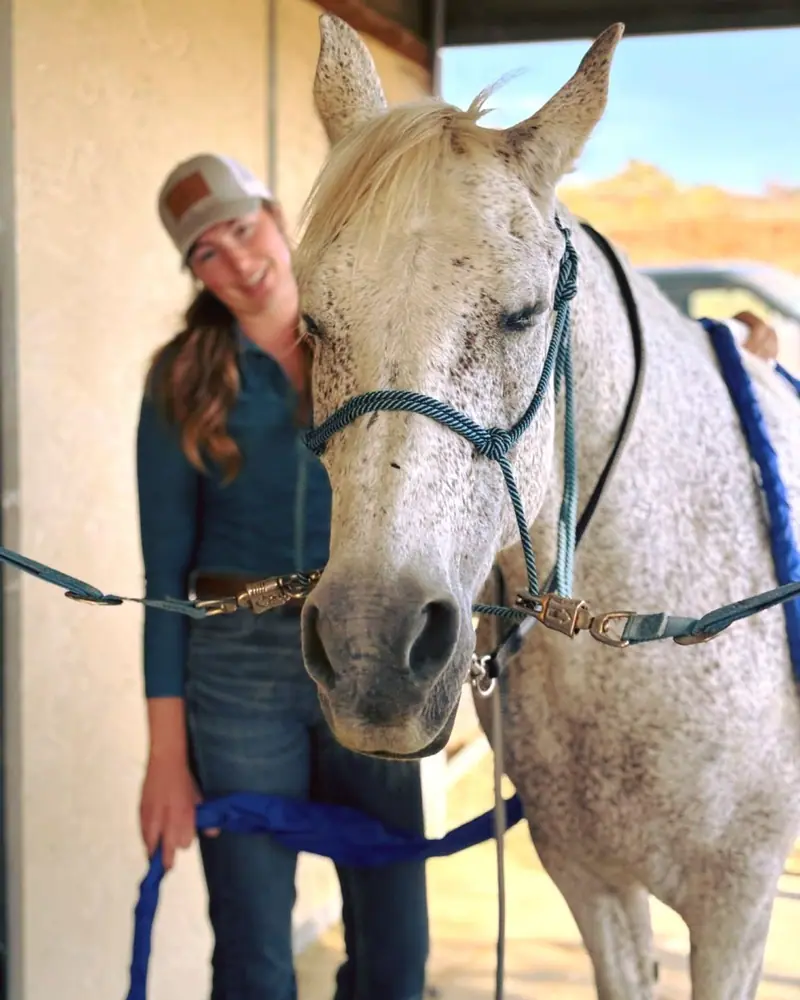 Instagram post:  Help your animals feel their best  Whether you have a performance horse, a hardworking…