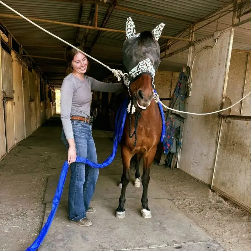 Instagram post: That lick and chew says it all.  This is what a release looks like — your horse…