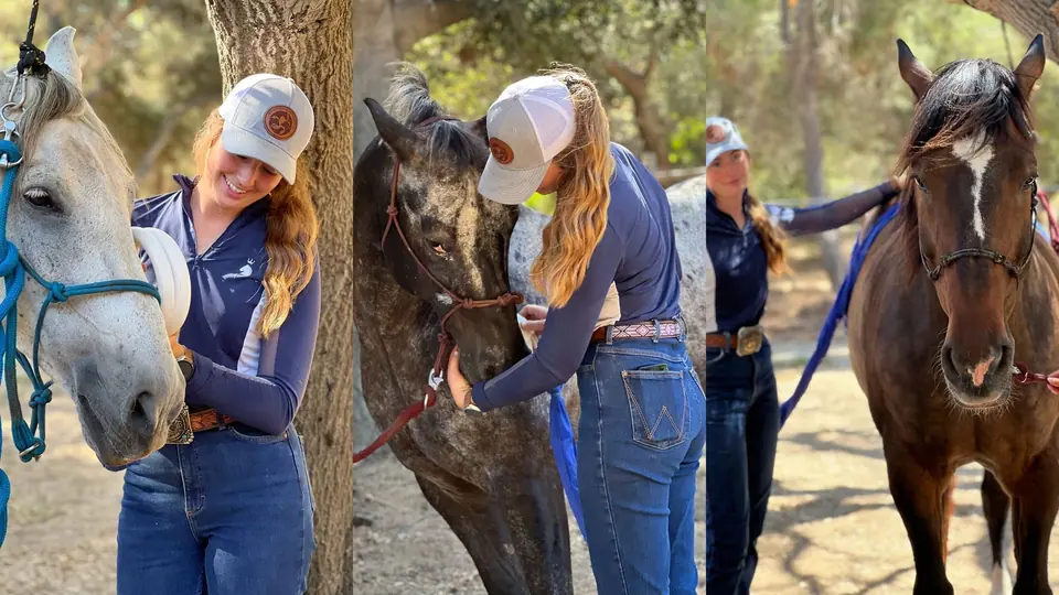 Three moments with therapy horses: Sydnie with a grey, an Appaloosa and a bay