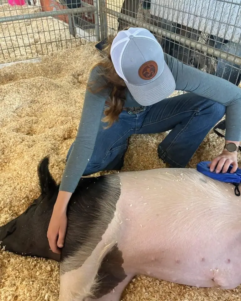 Sydnie kneeling beside a show pig during a session