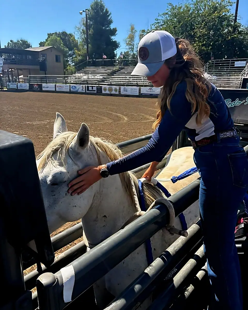 Sydnie working on a grey rodeo horse behind the chutes