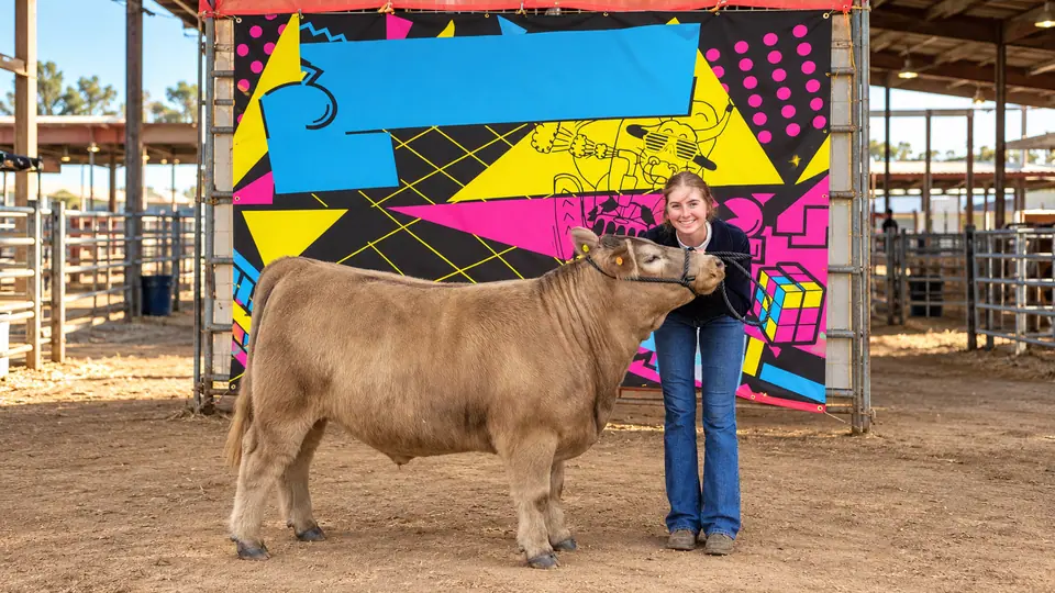 Sydnie with a show steer at the Eastern San Diego County Junior Fair