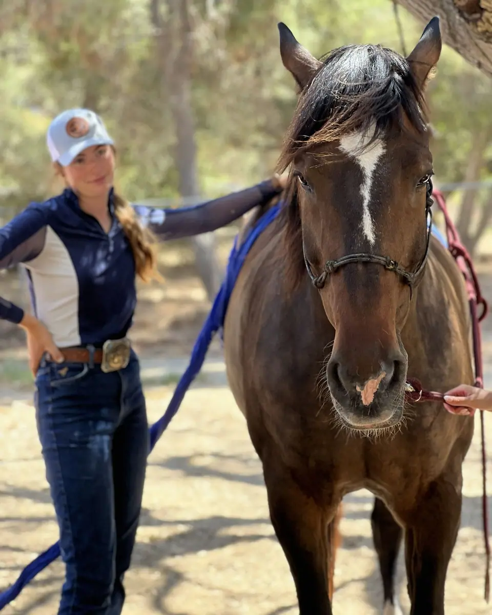 Sydnie with her hand on a dark bay horse during a session