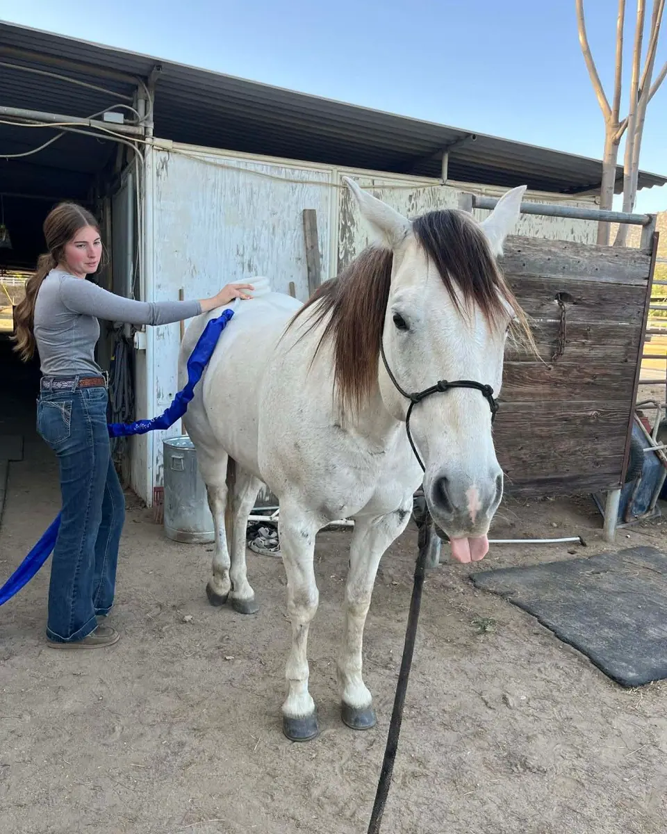 Sydnie with a white horse and a MagnaWave loop in the barn